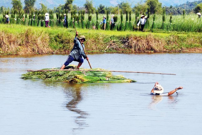 Th&acirc;n thương n&eacute;t đẹp đồng c&oacute;i Tam Quan